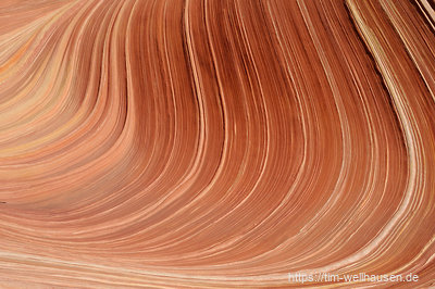 Wellen in der Wave