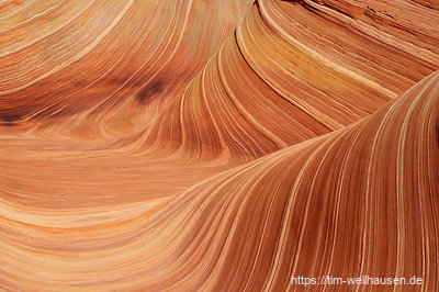 Details in der Wave