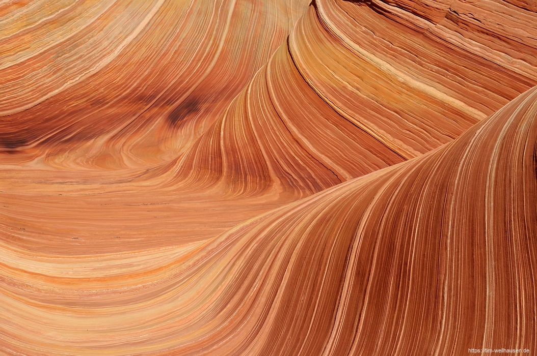 Details in der Wave