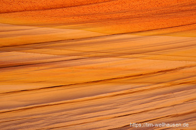 Details im Schatten einer Felswand #1