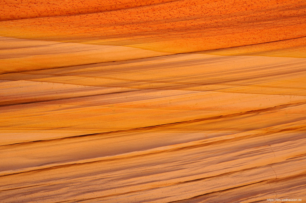 Details im Schatten einer Felswand #1