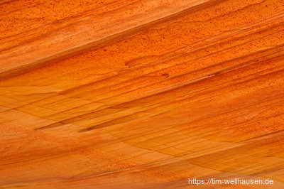 Details im Schatten einer Felswand #2