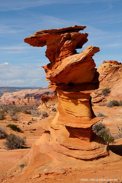 Der berühmte Dali-Felsen in den Coyote Buttes South
