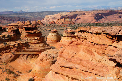 Im Herzen der Coyote Buttes South mit Blick auf die Teepees