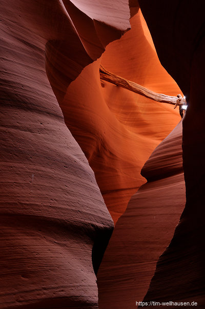 Im Lower Antilope Canyon - der Baumstamm markiert die Höhe der letzten Sturzflut.