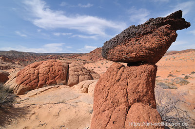 Edmaier's Secret ist kein großes Geheimnis mehr. Am Buckskin Gulch gelegen konnten wir viele skurile Sandsteinformationen entdecken und sahen den ganzen Tag über keinen anderen Menschen.