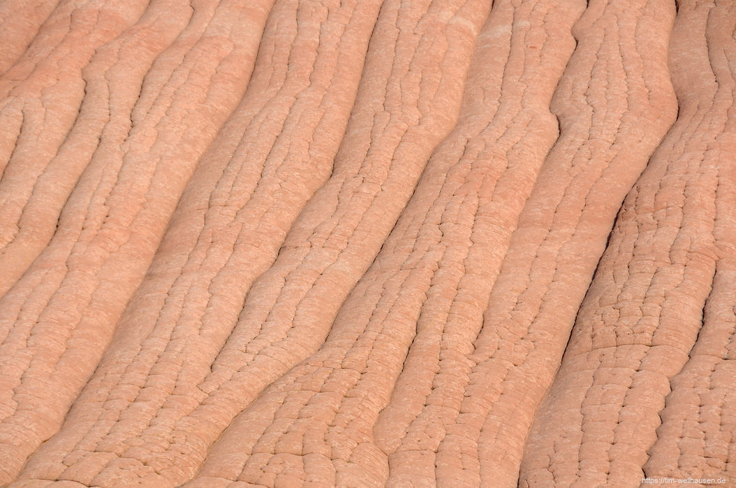 Am eindrücklichsten sind bei Edmaier's Secret die langen, raupenartigen Sandsteinlamellen, die sich einen ganzen Hang entlang ziehen.
