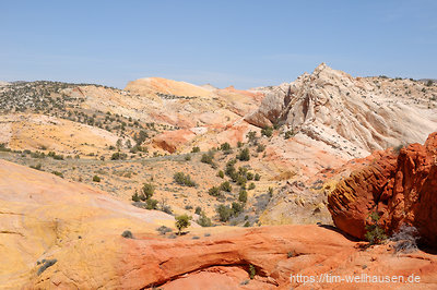 Das Yellow Rock Valley ist ein weiterer Ort, an dem man einen ganzen Tag keinen anderen Wanderer zu sehen bekommt. Hier der Blick vom Red Top zum Yellow Rock.