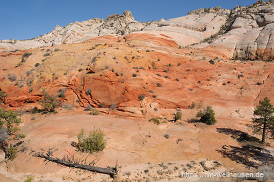 Mitten im Yellow Rock Valley.