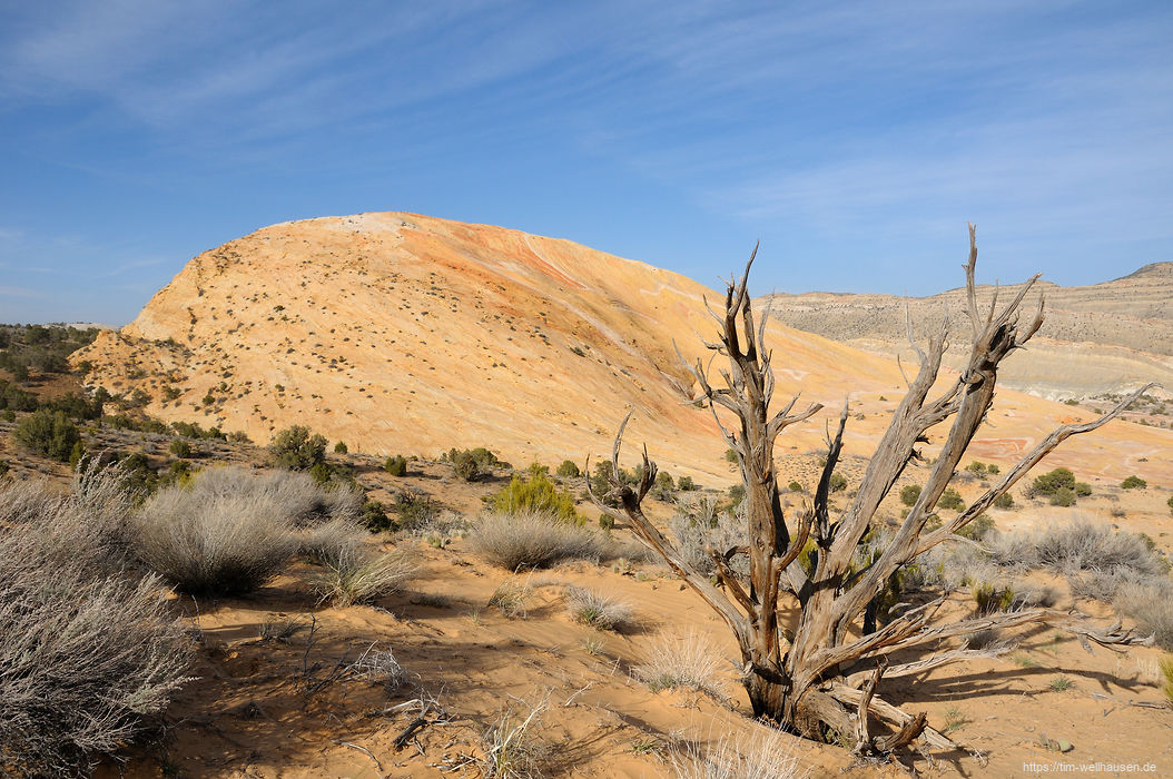 Der Yellow Rock ist ein riesiger Sandsteinmonolith.
