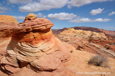 Rund um die Wave sind fantastische Sandsteinskulpturen zu sehen, die Brainrocks genannt werden.