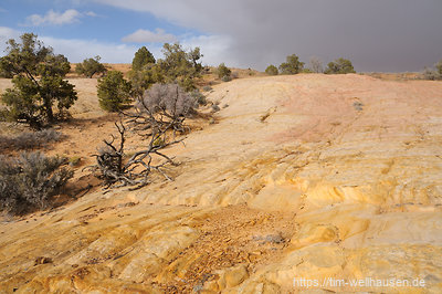 Die Gegend ist nicht ganz so spektakulär wie schon woanders gesehen, aber schöner Slick Rock wechselt sich ab mit Sandbewuchs und vielen Moqui-Nestern.
