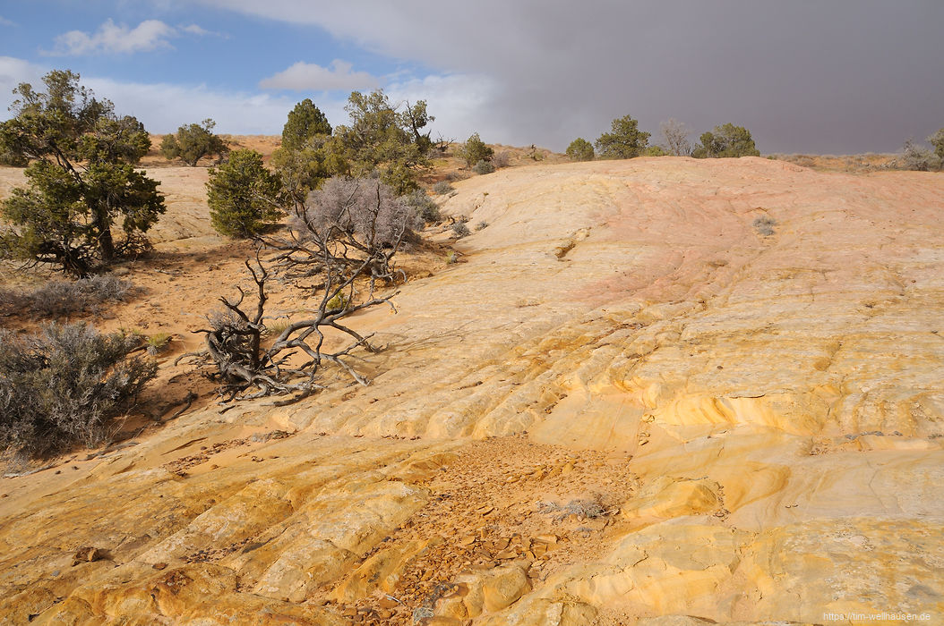 Die Gegend ist nicht ganz so spektakulär wie schon woanders gesehen, aber schöner Slick Rock wechselt sich ab mit Sandbewuchs und vielen Moqui-Nestern.
