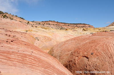 Der Big Horn Canyon besteht hier aus bunt verquirltem Sandstein.