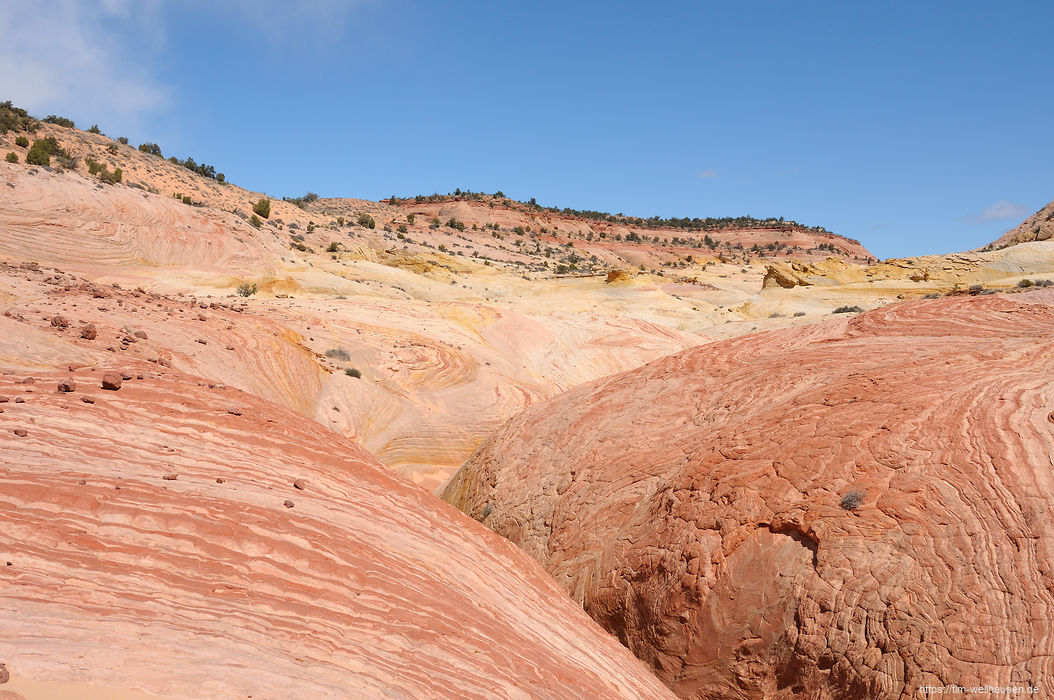 Der Big Horn Canyon besteht hier aus bunt verquirltem Sandstein.