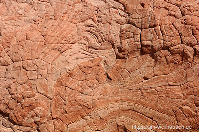 Ein Ausschnitt aus der Canyonwand.