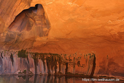 Die Golden Cathedral liegt im Neon Canyon, einem kleinen Seitencanyon des Escalante. Die Decke einer tief ausgehöhlten Felswand ist durchbrochen von zwei Löchern, durch das mittags Licht eindringt und die Wand zum Glühen bringt.