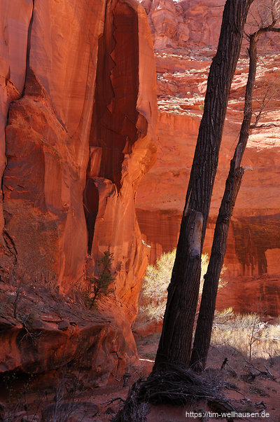 Neben der Golden Cathedral hat der Neon Canyon viele weitere faszinierende Stellen.