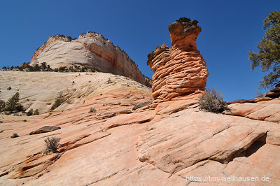 Zum Abschluss klettern wir noch ein wenig auf dem Plateau im Zion-Park. 